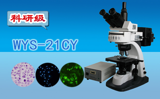 熒光顯微鏡技術包括哪幾種？